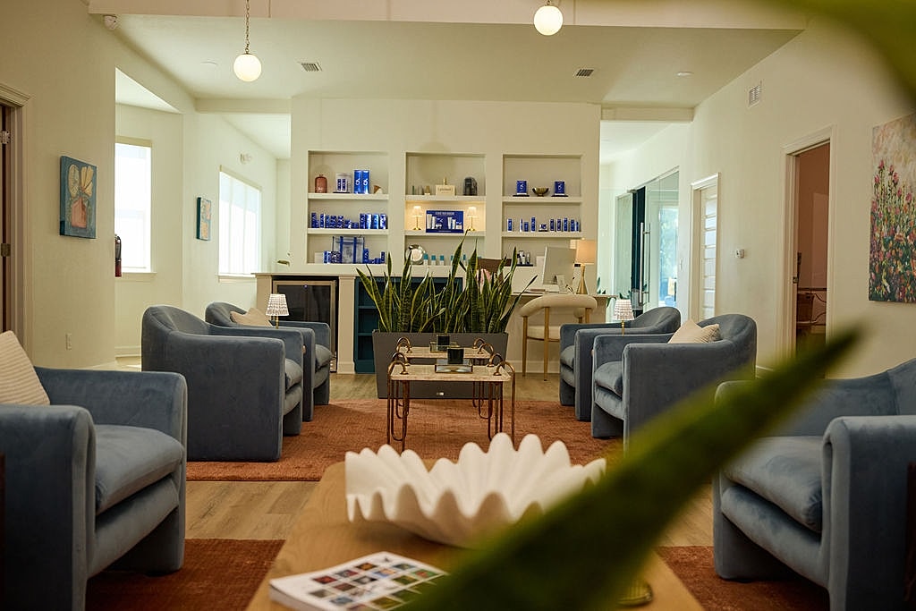 Modern lounge with blue chairs and greenery.